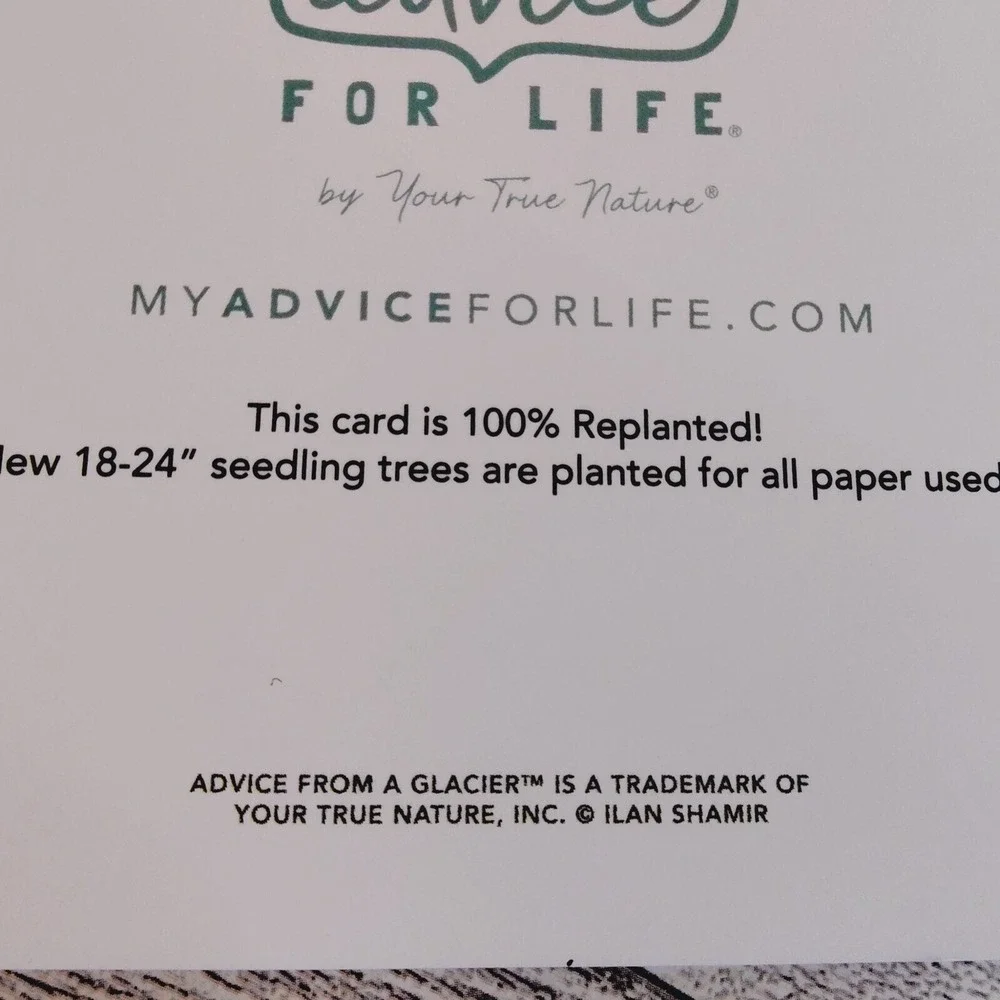 Advice For Life Glacier Greeting Card Motivational Note Card 100% Replanted